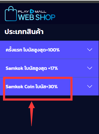 webshop2